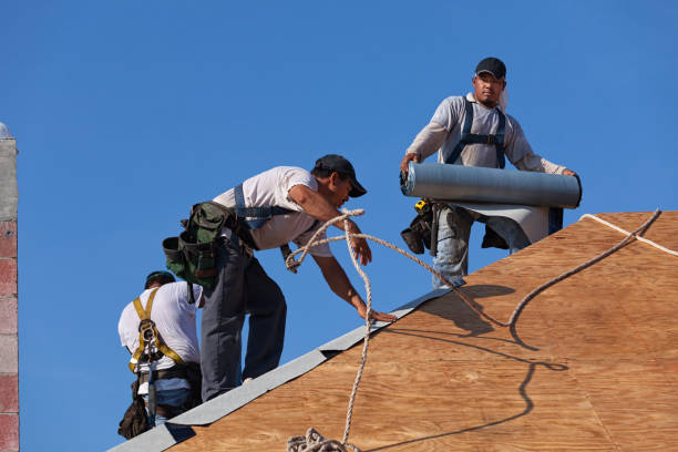 Best Storm Damage Roof Repair  in Beulaville, NC